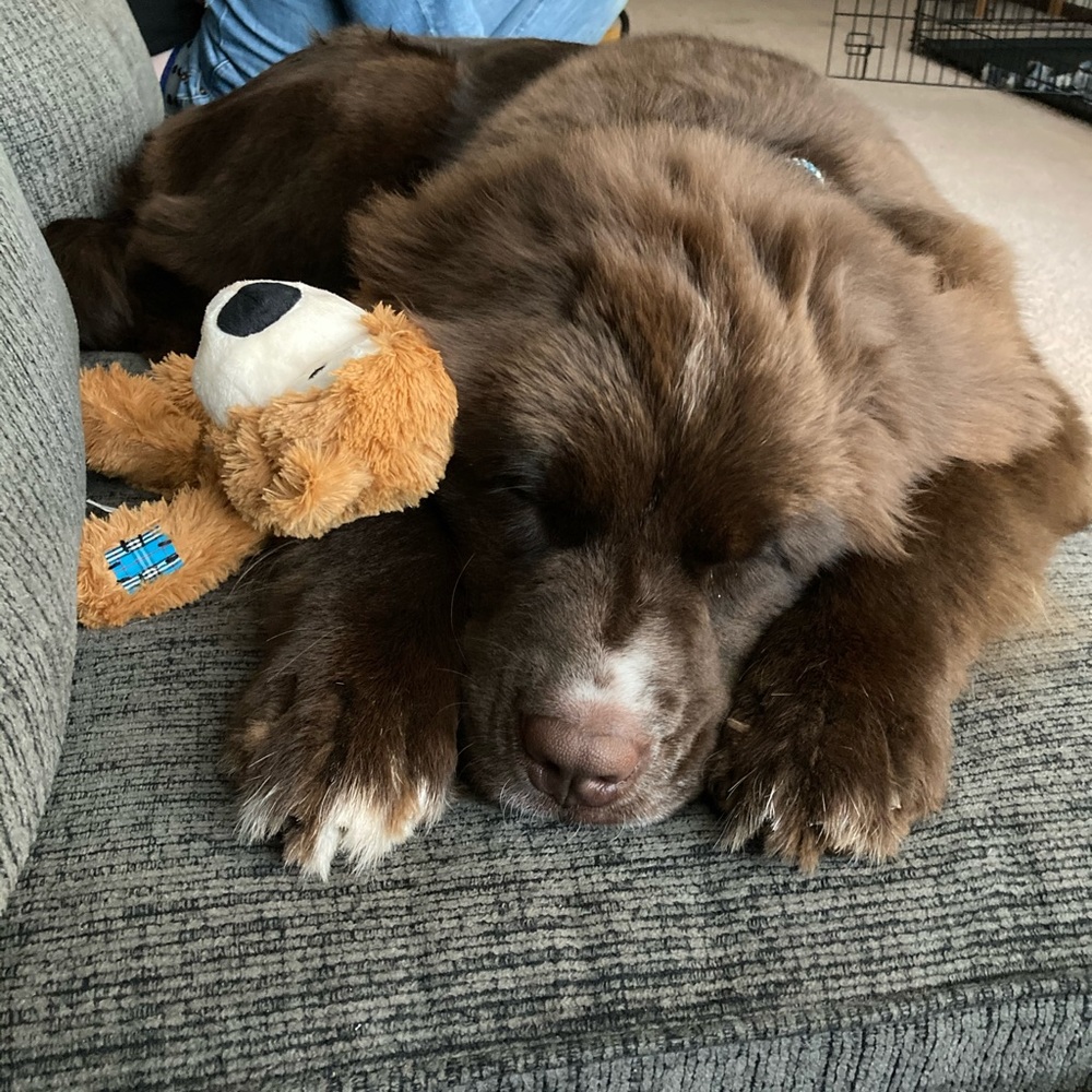 Meet your Posher, Brianna